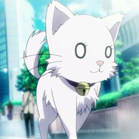 Github Dongxiaohaoo Feiyoung - Colorful Wallpapers - Professional Ultra HD Collection