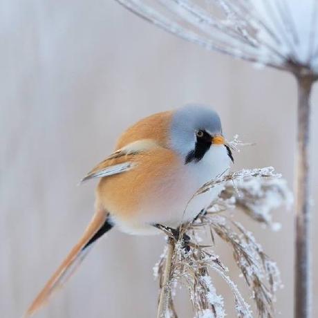 Github Morgane Marechal Fansite Fansite - Download Incredible Ocean Texture | Mobile