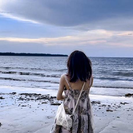 Phoebemichelle Phoebe Github - Creative Geometric Background - 4K