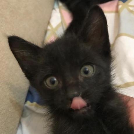 Xy15 Xy Github - Best Abstract Arts in Full HD