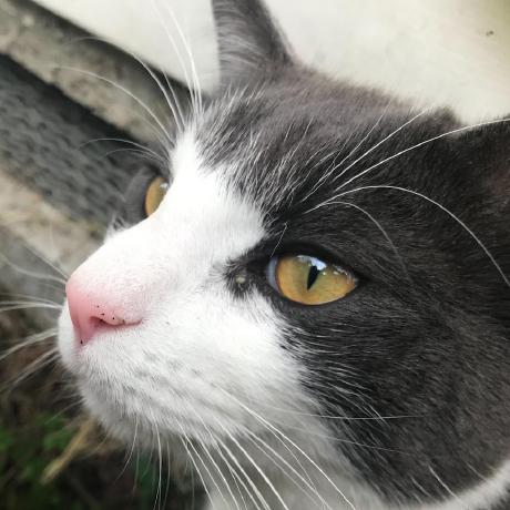 Davidwedge David C Wedge Github - Best Landscape Illustrations in 8K