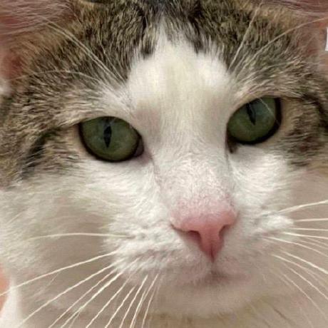 V Soboleva Vera Soboleva Github - Download Perfect Landscape Photo | Full HD