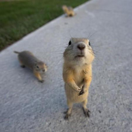 A Kav Github - Best Landscape Textures in Desktop