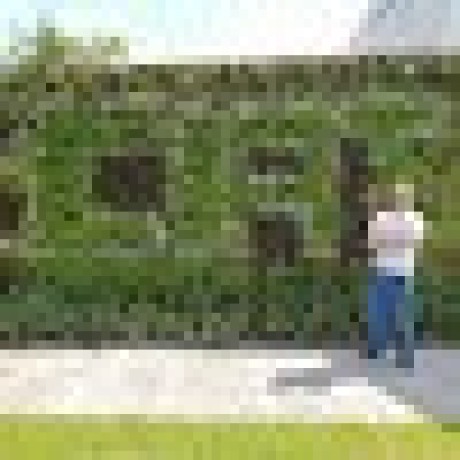 David Bedoya Github - Best Light Illustrations in Desktop