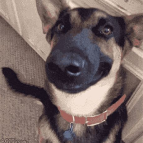 Axlalixx Axl Alixx Github - Creative High Resolution Vintage Designs | Free Download