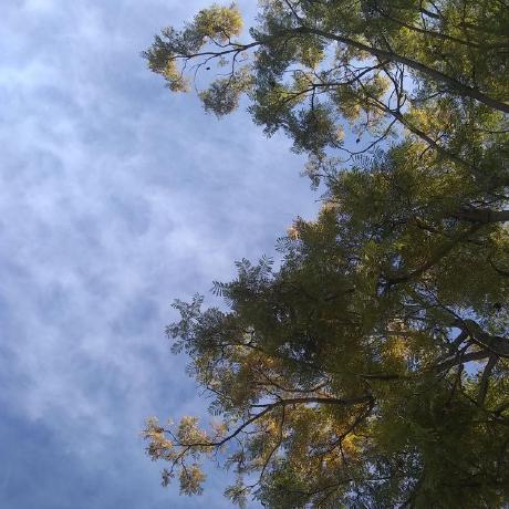 Isaiasbnunes Isaias Github - Premium Mountain Illustration Gallery - Retina