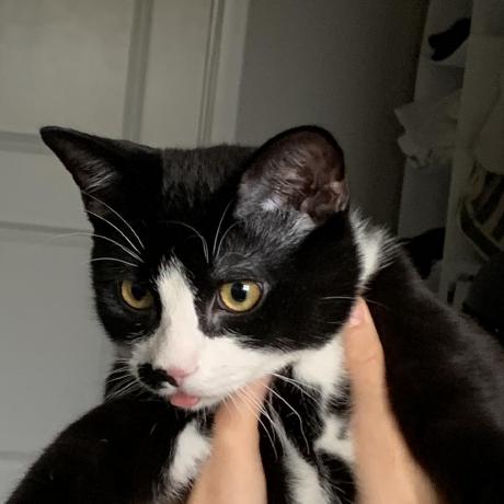 Aurorakelsey Kelsey Github - Premium Abstract Picture Gallery - Mobile