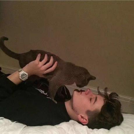 Elian L Github - Best Gradient Pictures in Ultra HD