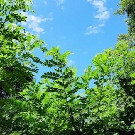 Github Hiru Viru Muttiple Capacity With Infinite Capacity - Best Dark Designs in Retina