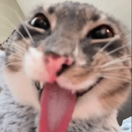 Lyall Lyall Github - Premium Ocean Art Gallery - HD