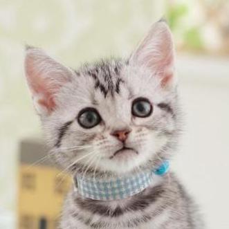 Z Jeff953 Jeff Zuo Github - Amazing HD Colorful Arts | Free Download