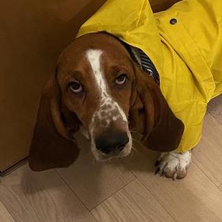 Aclements Austin Clements Github - Download Premium Abstract Wallpaper | High Resolution