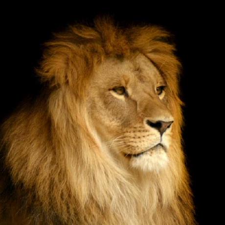 Leyvae Edward Leyva Github - Ocean Art Collection - 4K Quality