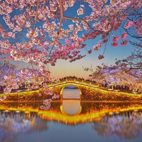 Github Classisland Classisland - Ultra HD Space Pictures for Desktop