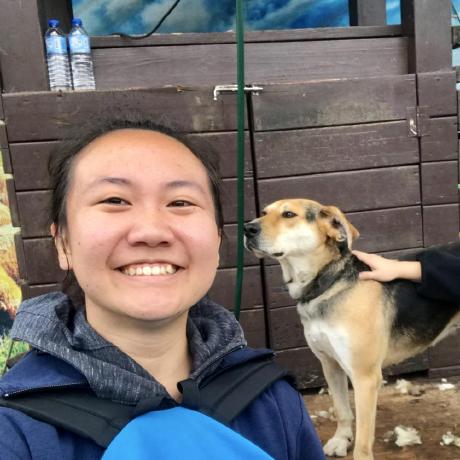 Bowei Smart Bowei Y Github - Elegant Mobile Landscape Wallpapers | Free Download