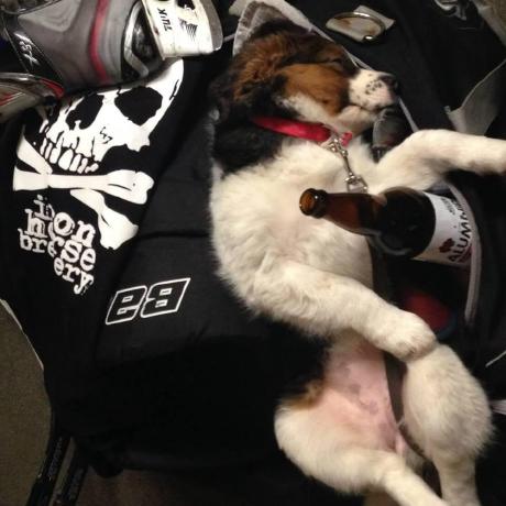 Jibbarth Jib Barth Github - Download Beautiful Vintage Picture | High Resolution