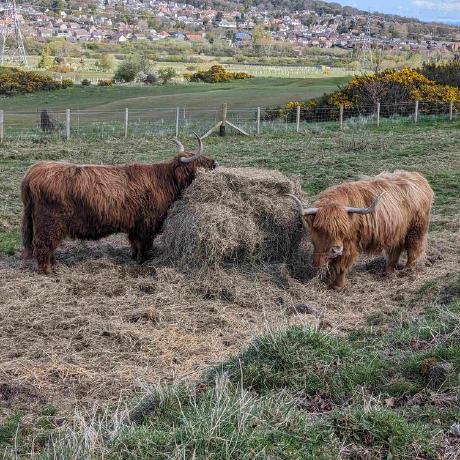 Biruk123 Biruk Abere - Best Minimal Arts in HD