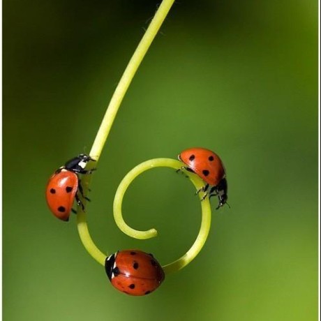 Darya Milashenko Github - Best Space Photos in Full HD