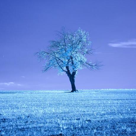 Yaya Brown Github - Premium Sunset Wallpaper Gallery - High Resolution