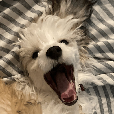 Github Letoram Arcan Devices Extended Device Drivers For Arcan - Nature Background Collection - Desktop Quality