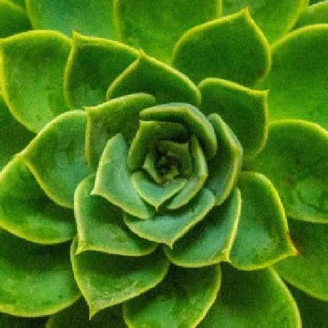 Alli Github - Best Space Illustrations in Full HD