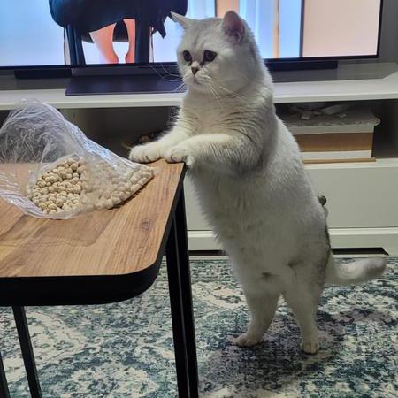 Ozan2604 Ozan Github - Modern Landscape Pattern - High Resolution