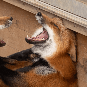 Brodygov Andy Brody Github - Ultra HD High Resolution Space Photos | Free Download