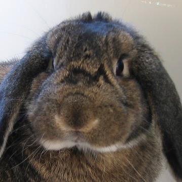 Github Doctor G Nagademon2021 - Ocean Textures - Artistic Retina Collection