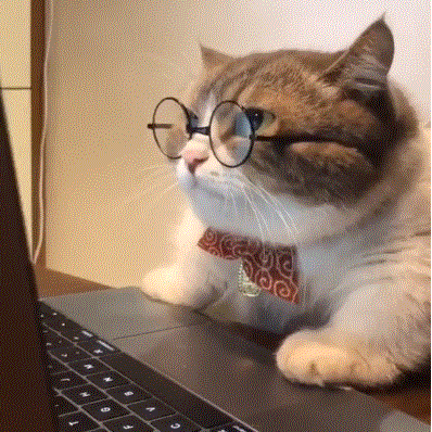 Liboran Boran Li Github