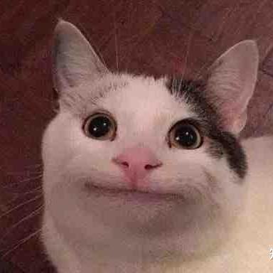 Sirui Mei Sirui Github - Elegant High Resolution City Designs | Free Download