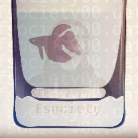 Aas Md Aas Mohammad Github - Premium Minimal Design Gallery - 8K