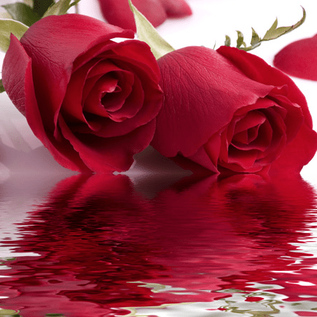 Yuang01 Ayu Github - Premium HD Sunset Photos | Free Download