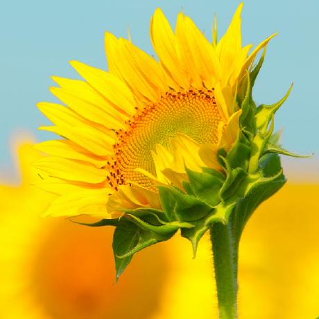 Gameobjectmanager Kisence Mian Myunityframework Wiki Github - 8K Gradient Photos for Desktop