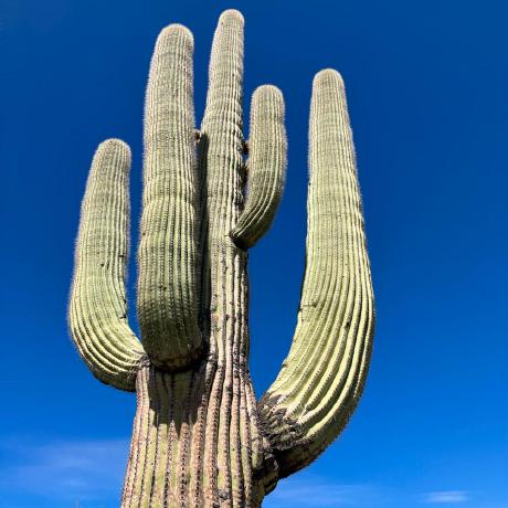 Jg Alexsamuel Alex Samuel Github - Modern HD Landscape Textures | Free Download