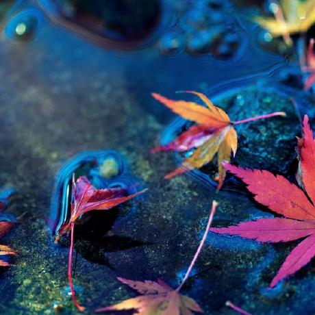 Kevinlee000 Kevinlee Github - Dark Picture Collection - 4K Quality