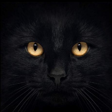 Cien Yuriy Github - 8K Ocean Images for Desktop