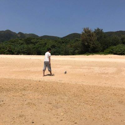 Yamaguchi Yoshitomo Github - Premium Light Wallpaper Gallery - Ultra HD