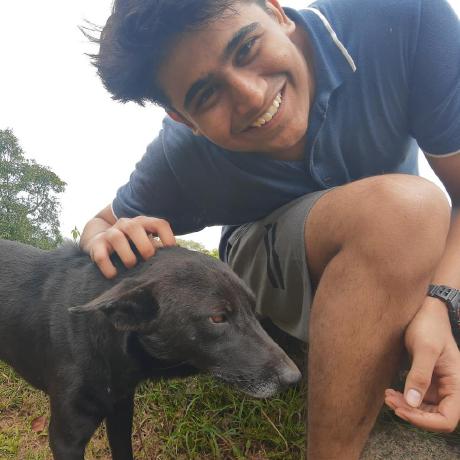 Rahil Github - Best City Photos in Ultra HD