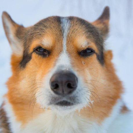 Gsaria Saria Github - Best Abstract Patterns in Retina