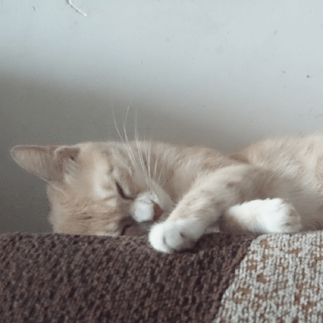 Github Wanganjin233 Clashrules - Premium Sunset Design Gallery - Retina