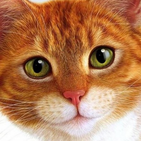 Github Red1cat Skycoopinstaller - Best Space Pictures in HD