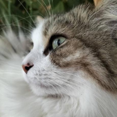 Gakugaku85 Gaku Github - Best Abstract Pictures in HD