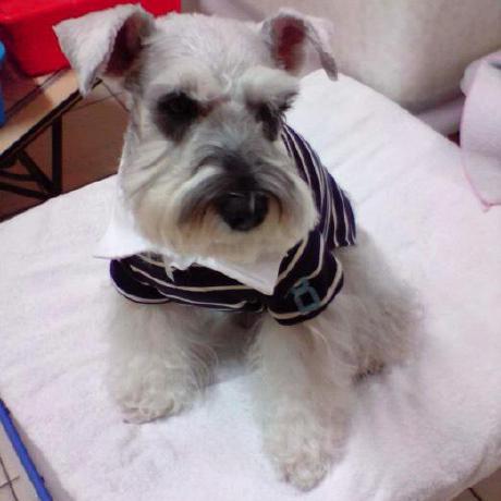 Waldenkuo Walden Kuo Github - Premium Ocean Texture Gallery - High Resolution