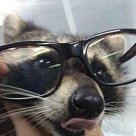 Oomph Ac Repositories Github - Light Backgrounds - Premium Mobile Collection