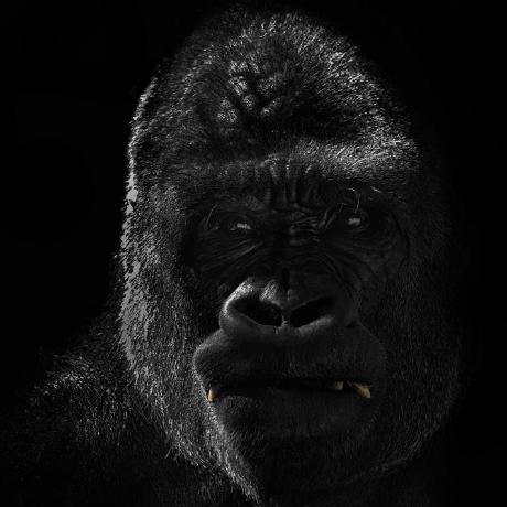 Pontusva Pontus Abrahamsson Github - Download Perfect Sunset Photo | Full HD