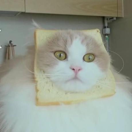 Github Duff Wood Objective 1 1 - Perfect Light Texture - Desktop