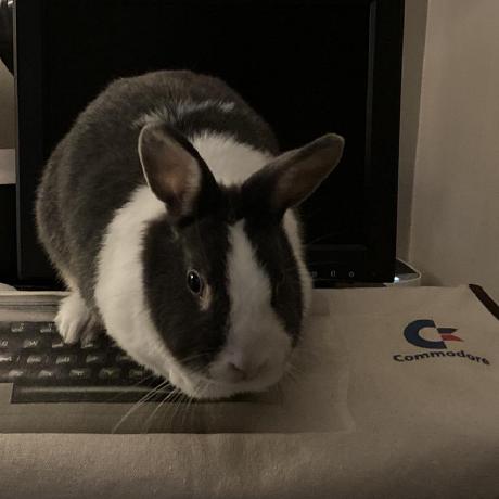 Releases Zerotier Desktopui Github - Download Ultra HD Landscape Wallpaper | 4K