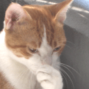 Github Krkrz Krkrz Dev Z - Mobile Gradient Designs for Desktop