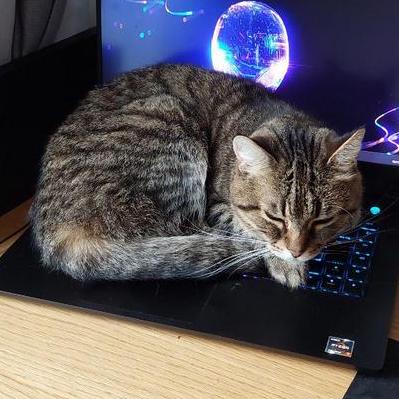 Nostawenka Natalia Vinogradova Github - Download Modern Vintage Art | Retina