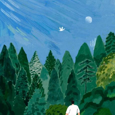 Lys Png Github - Best Geometric Wallpapers in Mobile